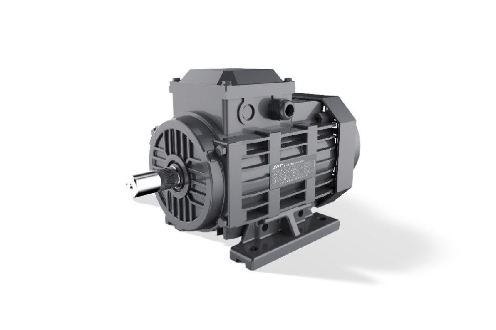 FTYP 系列自啟動(dòng)永磁同步電機(jī)